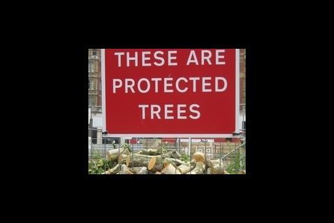 Protected tree sign